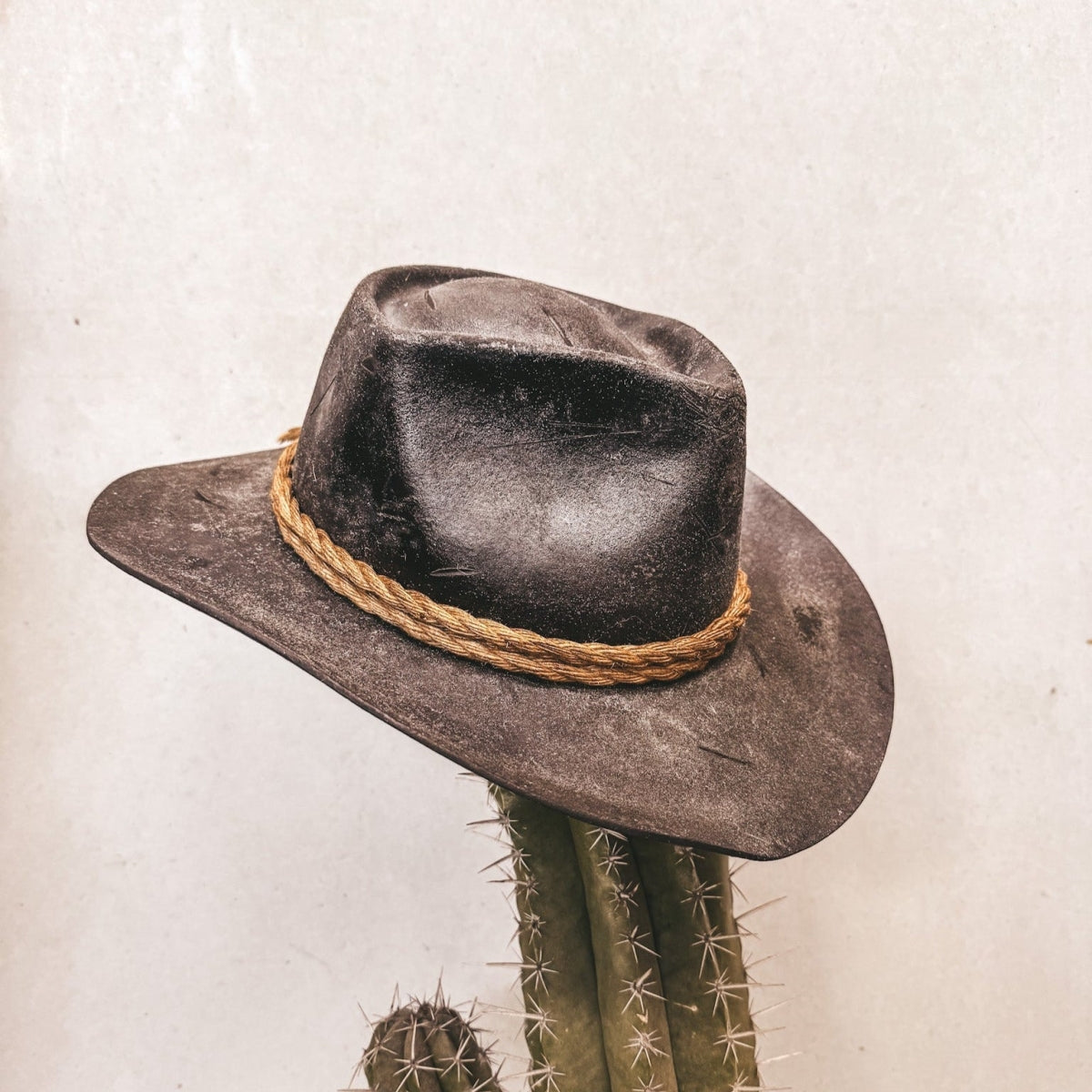 Arthur Morgan Hat
