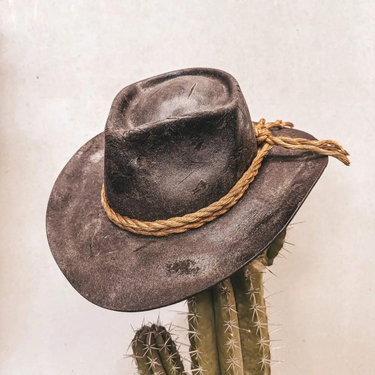 Arthur Morgan Hat
